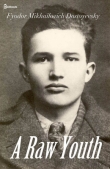 Книга A Raw Youth автора Федор Достоевский
