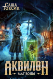 Книга Аквилон. Маг воды. Том 6 (СИ) автора Саша Токсик