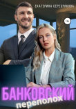 Книга Банковский переполох автора Екатерина Серебрякова