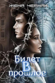 Книга Билет в прошлое (СИ) автора Женя Черняк