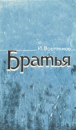 Книга Братья автора Игорь Востряков