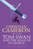 Книга Castillon автора Christian Cameron