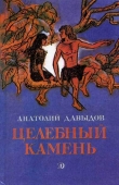 Книга Целебный камень автора Анатолий Давыдов