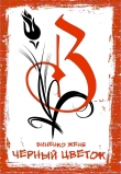 Книга Черный Цветок автора Женя Виненко
