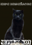 Книга Черный кот (СИ) автора Кира Измайлова