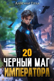 Книга Черный Маг Императора 20 (СИ) автора Александр Герда