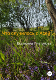 Книга Что случилось с Асей автора Екатерина Платонова