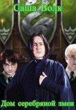 Книга Дом серебряной змеи (СИ) автора Саша Волк