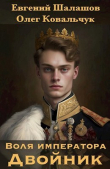 Книга Двойник (СИ) автора Евгений Шалашов