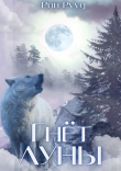 Книга Гнёт Луны (СИ) автора Рин Рууд