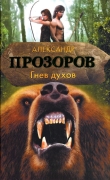 Книга Гнев духов автора Александр Прозоров