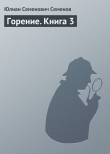 Книга Горение. Книга 4 автора Юлиан Семенов