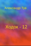 Книга Ходок - 12 (СИ) автора Александр Тув
