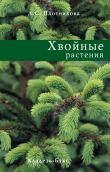 Книга Хвойные растения автора Лилиан Плотникова