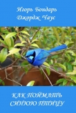 Книга Как поймать синюю птицу (СИ) автора Джордж Чаус