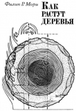 Книга Как растут деревья автора Филип Р. Мори
