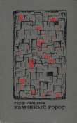 Книга Каменный город автора Р. Галимов