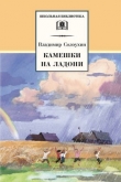 Книга Камешки на ладони автора Владимир Солоухин