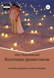 Книга Коллекция крышесносов, или Как вскружить голову девушке автора Олег Ладонежский