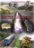 Книга Костер надежды автора Александр Ермаков Зильдукпых
