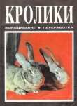 Книга Кролики. Выращивание, переработка автора Е. Кузьменко