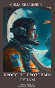 Книга Кросс по грозовым тучам (СИ) автора Сима Кибальчич