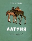 Книга Латуня автора Нора Аргунова