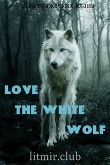 Книга Любовь Белого волка. Любовь Волков (СИ) автора NettLe