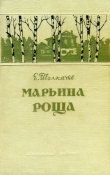 Книга Марьина роща автора Евгений Толкачев