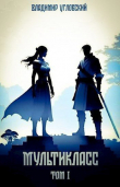 Книга Мультикласс (СИ) автора Владимир Угловский