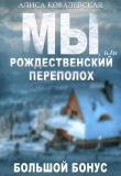 Книга Мы, или Рождественский переполох (СИ) автора Алиса Ковалевская