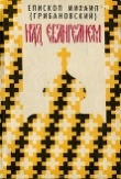 Книга Над Евангелием автора Михаил Архиепископ (Грибановский)