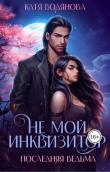 Книга Не мой инквизитор. Последняя ведьма (СИ) автора Катя Водянова