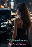 Книга (Не)правильная (СИ) автора Agata Adamidi