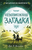 Книга Невозможная загадка автора Дж. Р. Воллис