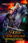 Книга Ночь с повелителем черных небес (СИ) автора Элиз Холгер