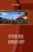 Книга Новый мир (СИ) автора Strelok