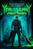 Книга Паладин. Свет и Скверна II (СИ) автора Илья Романов