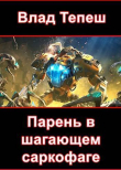 Книга Парень в шагающем саркофаге (СИ) автора Влад Тепеш