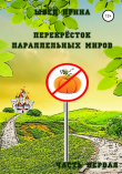 Книга Перекрёсток параллельных миров. Часть первая автора Ирина Швед
