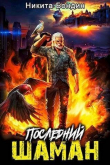 Книга Последний Шаман (СИ) автора Никита Бондин