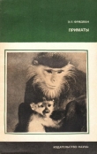 Книга Приматы автора Эман Фридман