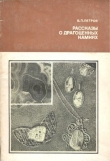 Книга Рассказы о драгоценных камнях автора Валерий Петров