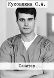 Книга Санитар (СИ) автора Сергей Куковякин