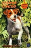 Книга Собачье счастье автора Дженни Дейл