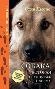 Книга Собака, которая спустилась с холма. Незабываемая история Лу, лучшего друга и героя автора Стив Дьюно