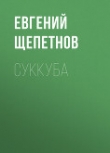Книга Суккуба (СИ) автора Евгений Щепетнов