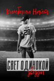 Книга Свет одинокой звезды (ЛП) автора Кимберли Найт