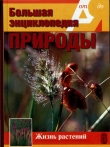 Книга Т. 6. Жизнь растений. Травянистые растения.  автора А. Шабанов