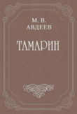Книга Тамарин автора Михаил Авдеев